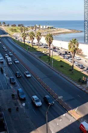 Pocitos Promenade from the top of a building - Department of Montevideo - URUGUAY. Photo #81923