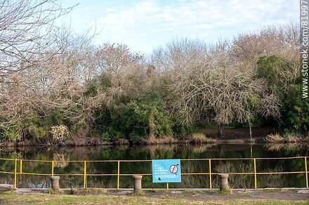 The Santa Lucia River in Aguas Corrientes - Department of Canelones - URUGUAY. Photo #81997