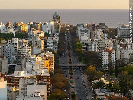 Vista aérea de Bulevar Artigas al atardecer - Departamento de Montevideo - URUGUAY. Foto No. 85311