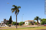Cantero central de Av. Italia. - Foto #31664