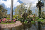 Jardín Japonés en Primavera - Foto #32827