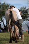 Voluntaria dando cariño a uno de los caballos recuperados de maltrato en el Día Mundial de los Animales. Montevideo, Uruguay. - Foto #33025