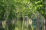 El río Yí desbordado. - Foto #35638