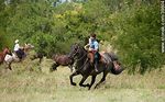 Joven jinete cabalgando - Foto #39604