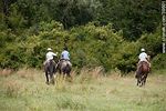 Jóvenes jinetes cabalgando en el campo - Foto #39601