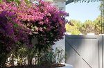 Calle Los Tilos - Foto #41196