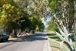 Rambla Concepción del Uruguay - Foto #42351