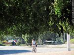 Ciclista en el Parque Batlle - Foto #46083
