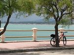 Bicicleta a la sombra - Foto #47680