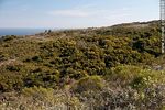 Sierra de las Ánimas - Foto #48149