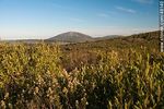 Cerro Pan de Azúcar desde la Sierra de las Ánimas - Foto #48140