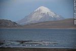 Lago Chungará (Chile) y Volcán Sajama (Bolivia). Taguas gigantes y flamencos chilenos. - Foto #50676