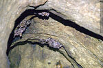 Foto #67954