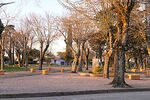 Plaza de Ituzaingó al atardecer - Foto #68409