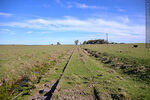 Las vías del tren desde el Km 329 en Durazno hacia Montevideo - Foto #69043