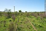 Antiguas vías de ferrocarril en Artigas - Foto #80373