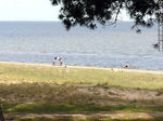 Balnearios sobre el Río de la Plata. Blancarena, Britrópolis, Fomento, Los Pinos. - Foto #26452