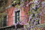 Glicinas y balcón al comienzo de la primavera - Foto #14942