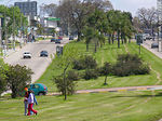 Cantero central de Av. Italia - Foto #17336