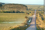 Camino del Indio. Ruta 16 entre los palmares. - Foto #11770